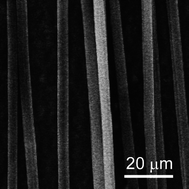 Graphical abstract: Fabrication of one dimensional superfine polymer fibers by double-spinning