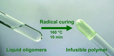 Graphical abstract: Curing preceramic SiBNC polymers infusible by radical polymerization