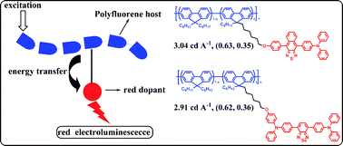 Graphical abstract: Red electroluminescent polyfluorenes containing highly efficient 2,1,3-benzoselenadiazole- and 2,1,3-naphthothiadiazole-based red dopants in the side chain