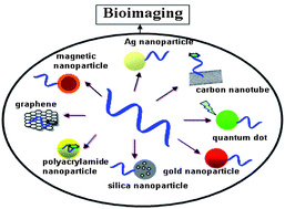 Graphical abstract: Nucleic acid-functionalized nanomaterials for bioimaging applications