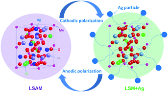 Graphical abstract: A new cathode for solid oxide fuel cells capable of in situ electrochemical regeneration