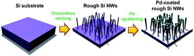 Graphical abstract: High-performance vertical hydrogen sensors using Pd-coated rough Si nanowires