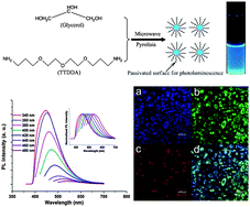Graphical abstract: One-step synthesis of surface passivated carbon nanodots by microwave assisted pyrolysis for enhanced multicolor photoluminescence and bioimaging