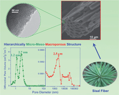 Graphical abstract: Ultrahigh surface area hierarchical porous carbons based on natural well-defined macropores in sisal fibers