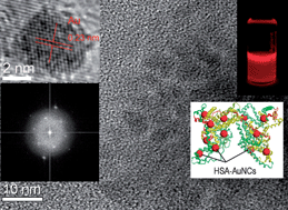 Graphical abstract: Microwave-assisted synthesis of BSA-stabilized and HSA-protected gold nanoclusters with red emission