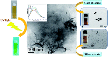 Graphical abstract: Novel fluorescent matrix embedded carbon quantum dots for the production of stable gold and silver hydrosols