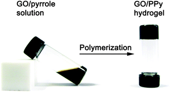 Graphical abstract: Graphene oxide/conducting polymer composite hydrogels