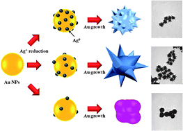 Graphical abstract: Seedless, silver-induced synthesis of star-shaped gold/silver bimetallic nanoparticles as high efficiency photothermal therapy reagent