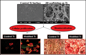 Graphical abstract: Generation of a biomimetic 3D microporous nano-fibrous scaffold on titanium surfaces for better osteointegration of orthopedic implants