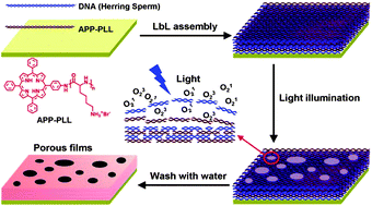 Graphical abstract: Fabrication of photosensitive multilayered films vialayer-by-layer assembly with well controlled porous structure