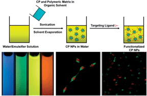 Graphical abstract: Polymer encapsulated conjugated polymer nanoparticles for fluorescence bioimaging