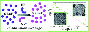 Graphical abstract: Quasi-seeded growth, phase transformation, and size tuning of multifunctional hexagonal NaLnF4 (Ln = Y, Gd, Yb) nanocrystalsvia in situ cation-exchange reaction