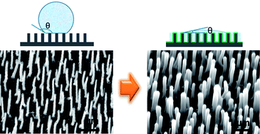 Graphical abstract: Hybrid structure of pH-responsive hydrogel and carbon nanotube array with superwettability