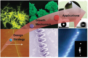 Graphical abstract: Solution-processed organic nano- and micro-materials: design strategy, growth mechanism and applications