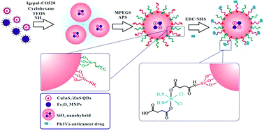 Graphical abstract: Silica nanohybrids integrated with CuInS2/ZnS quantum dots and magnetite nanocrystals: multifunctional agents for dual-modality imaging and drug delivery