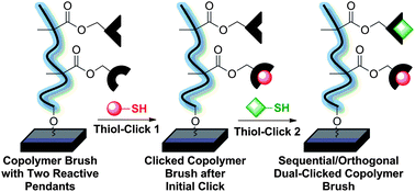 Graphical abstract: Synthesis of multifunctional polymer brush surfaces via sequential and orthogonal thiol-click reactions