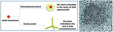 Graphical abstract: Shape and property control of Mn doped ZnSe quantum dots: from branched to spherical