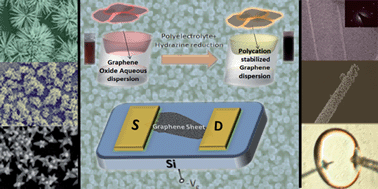 Graphical abstract: Recent progress on growth and device development of ZnO and CuO nanostructures and graphene nanosheets