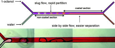 Graphical abstract: Multiple flow profiles for two-phase flow in single microfluidic channels through site-selective channel coating