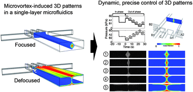 Graphical abstract: Dynamic control of 3D chemical profiles with a single 2D microfluidic platform