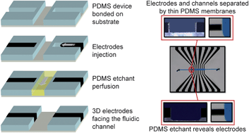 Graphical abstract: How to embed three-dimensional flexible electrodes in microfluidic devices for cell culture applications