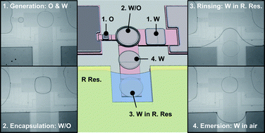 Graphical abstract: Encapsulated droplets with metered and removable oil shells by electrowetting and dielectrophoresis