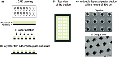 Graphical abstract: Microfabricated polyester conical microwells for cell culture applications