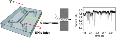 Graphical abstract: DNA detection with a polymeric nanochannel device