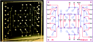 Graphical abstract: A flexible microfluidic processor for molecular biology: application to microarray sample preparation