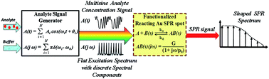 Graphical abstract: Label-free detection of protein binding with multisine SPR microchips