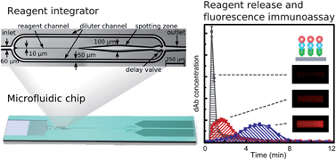 Graphical abstract: Controlled release of reagents in capillary-driven microfluidics using reagent integrators