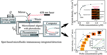 Graphical abstract: Microspot-based ELISA in microfluidics: chemiluminescence and colorimetry detection using integrated thin-film hydrogenated amorphous silicon photodiodes