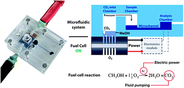 Graphical abstract: Fuel cell-powered microfluidic platform for lab-on-a-chip applications