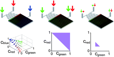Graphical abstract: An integrated microfluidic device for two-dimensional combinatorial dilution