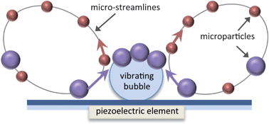 Graphical abstract: Selective particle trapping using an oscillating microbubble
