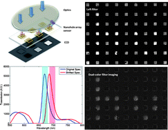 Graphical abstract: Large-scale plasmonic microarrays for label-free high-throughput screening