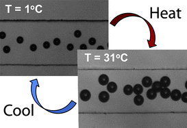 Graphical abstract: Temperature-controlled ‘breathing’ of carbon dioxide bubbles