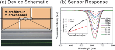 Graphical abstract: Ultra-sensitive microfibre absorption detection in a microfluidic chip