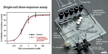 Graphical abstract: A microfluidic concentration generator for dose-response assays on ion channel pharmacology