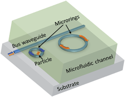 Graphical abstract: Planar silicon microrings as wavelength-multiplexed optical traps for storing and sensing particles