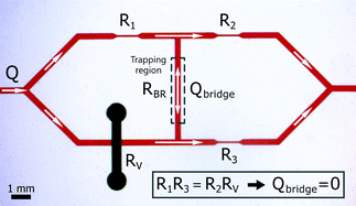Graphical abstract: Microfluidic Wheatstone bridge for rapid sample analysis