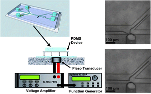 Graphical abstract: Lateral cavity acoustic transducer as an on-chip cell/particle microfluidic switch