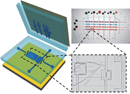 Graphical abstract: A microfluidic platform for pharmaceutical salt screening