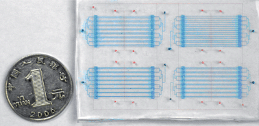 Graphical abstract: A scalable microfluidic chip for bacterial suspension culture