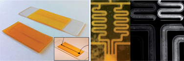 Graphical abstract: Green microfluidic devices made of corn proteins