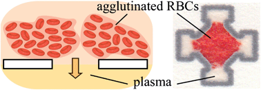 Graphical abstract: Integrated separation of blood plasma from whole blood for microfluidic paper-based analytical devices