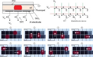 Graphical abstract: Toward active-matrix lab-on-a-chip: programmable electrofluidic control enabled by arrayed oxide thin film transistors