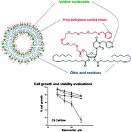 Graphical abstract: Nucleolipid nanovectors as molecular carriers for potential applications in drug delivery