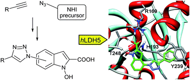 Graphical abstract: Triazole-substituted N-hydroxyindol-2-carboxylates as inhibitors of isoform 5 of human lactate dehydrogenase (hLDH5)
