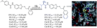 Graphical abstract: Design, synthesis and biological evaluation of novel benzothiazole and triazole analogs as falcipain inhibitors